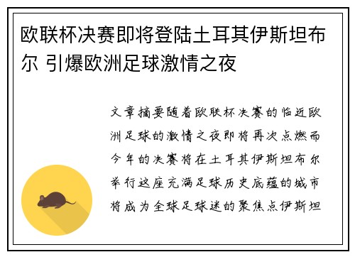 欧联杯决赛即将登陆土耳其伊斯坦布尔 引爆欧洲足球激情之夜